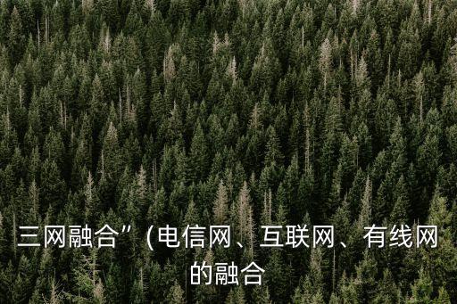 三網(wǎng)融合”(電信網(wǎng)、互聯(lián)網(wǎng)、有線網(wǎng)的融合