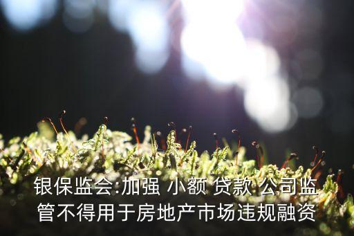 銀保監(jiān)會:加強(qiáng) 小額 貸款 公司監(jiān)管不得用于房地產(chǎn)市場違規(guī)融資