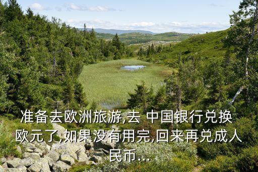 準(zhǔn)備去歐洲旅游,去 中國(guó)銀行兌換 歐元了,如果沒(méi)有用完,回來(lái)再兌成人民幣...
