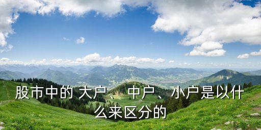 股市中的 大戶、 中戶、小戶是以什么來區(qū)分的