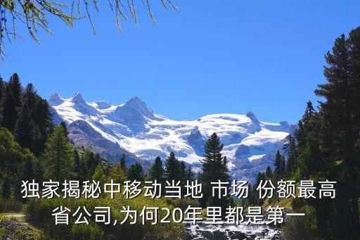 中國移動(dòng)的市場(chǎng)份額