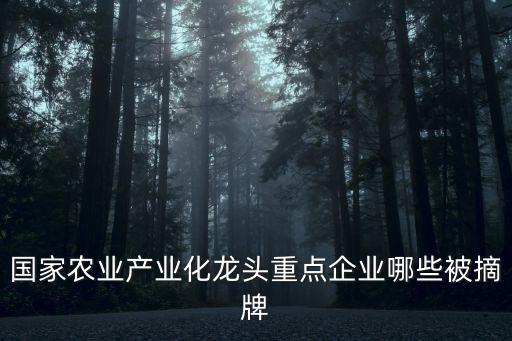 國家農業(yè)產(chǎn)業(yè)化龍頭重點企業(yè)哪些被摘牌