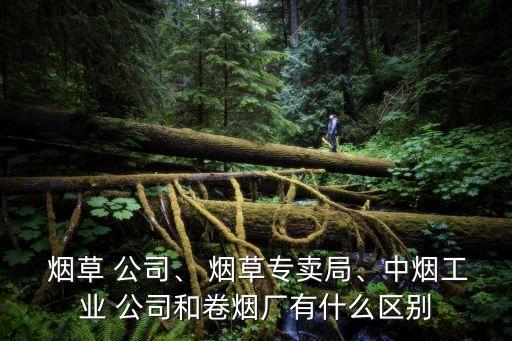  煙草 公司、 煙草專賣局、中煙工業(yè) 公司和卷煙廠有什么區(qū)別
