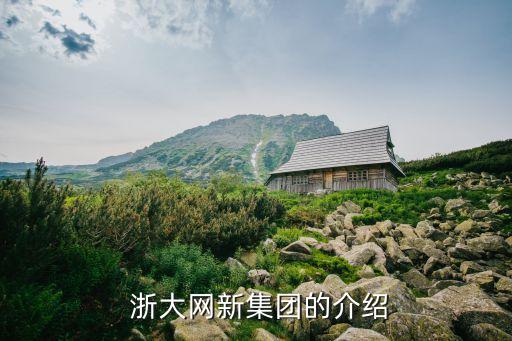 浙大網新集團的介紹