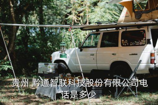  貴州 黔通智聯(lián)科技股份有限公司電話(huà)是多少