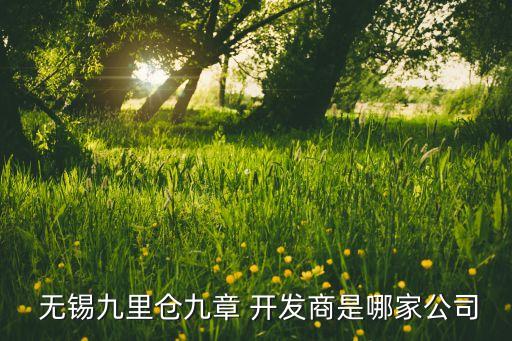  無錫九里倉(cāng)九章 開發(fā)商是哪家公司