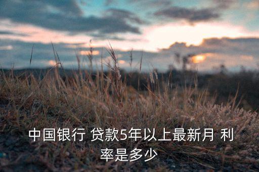 中國(guó)銀行 貸款5年以上最新月 利率是多少