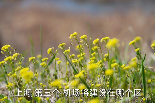  上海 第三個(gè) 機(jī)場將建設(shè)在哪個(gè)區(qū)