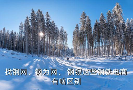 找鋼網(wǎng)、鋼為網(wǎng)、 鋼銀這些鋼鐵電商有啥區(qū)別