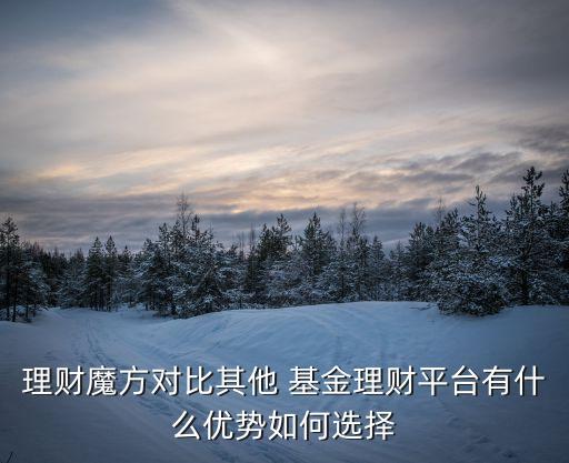 理財(cái)魔方對比其他 基金理財(cái)平臺有什么優(yōu)勢如何選擇