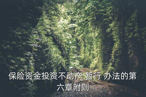 保險資金境外投資管理暫行辦法實施細(xì)則,制定保險資金境外投資管理政策