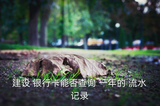建設(shè) 銀行卡能否查詢(xún) 一年的 流水記錄