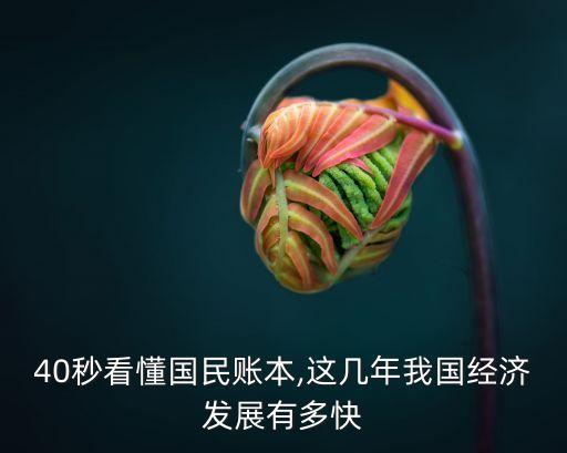 40秒看懂國民賬本,這幾年我國經(jīng)濟發(fā)展有多快