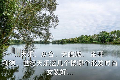 ...天樂、眾合、天皓城、 金開 利德、世紀天樂這幾個樓哪個批發(fā)時尚女裝好...