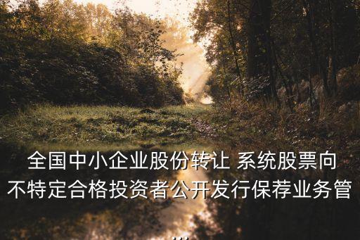  全國中小企業(yè)股份轉(zhuǎn)讓 系統(tǒng)股票向不特定合格投資者公開發(fā)行保薦業(yè)務管...