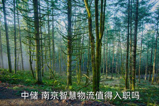  中儲(chǔ) 南京智慧物流值得入職嗎