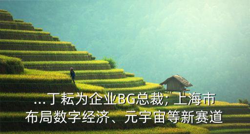 ...丁耘為企業(yè)BG總裁; 上海市布局?jǐn)?shù)字經(jīng)濟(jì)、元宇宙等新賽道