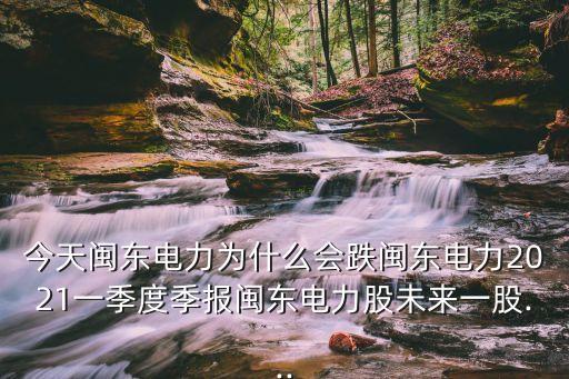 今天閩東電力為什么會跌閩東電力2021一季度季報(bào)閩東電力股未來一股...