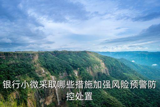 銀行小微采取哪些措施加強(qiáng)風(fēng)險預(yù)警防控處置