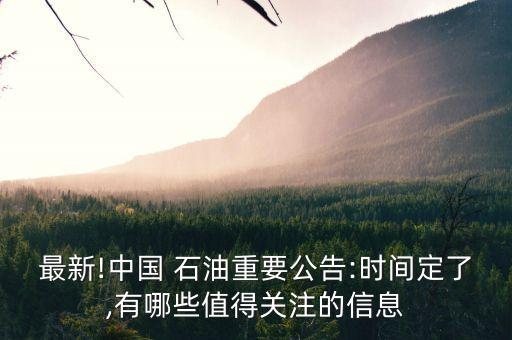 中國(guó)石油投資要點(diǎn),投資中國(guó)石油要多少錢(qián)