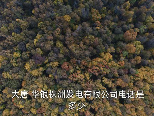  大唐 華銀株洲發(fā)電有限公司電話(huà)是多少