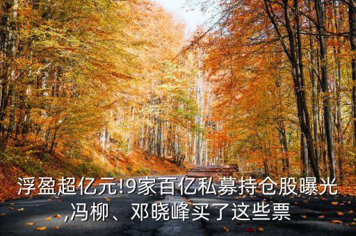 浮盈超億元!9家百億私募持倉股曝光,馮柳、鄧曉峰買了這些票