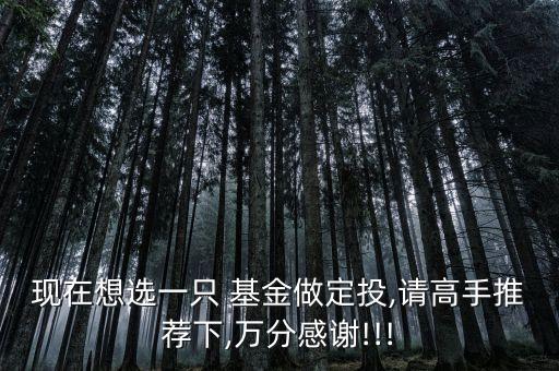 瑞福進(jìn)取基金,瑞?；鸸?/></a></span><span id=