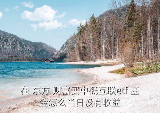 在 東方 財富買中概互聯etf 基金怎么當日沒有收益