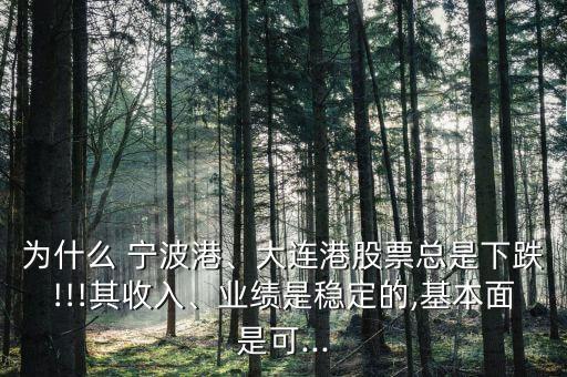 為什么 寧波港、大連港股票總是下跌!!!其收入、業(yè)績(jī)是穩(wěn)定的,基本面是可...