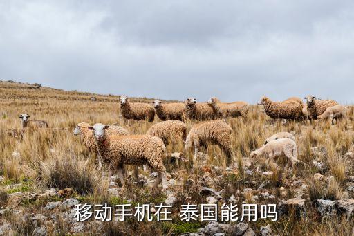 移動手機(jī)在 泰國能用嗎