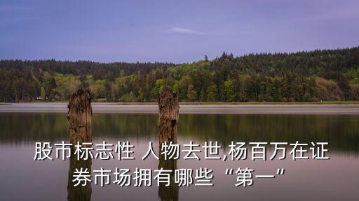  股市標(biāo)志性 人物去世,楊百萬在證券市場擁有哪些“第一”