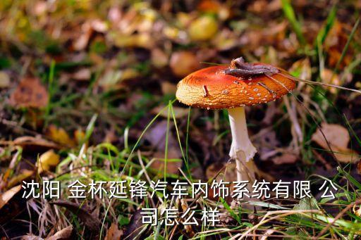 沈陽(yáng) 金杯延鋒汽車內(nèi)飾系統(tǒng)有限 公司怎么樣