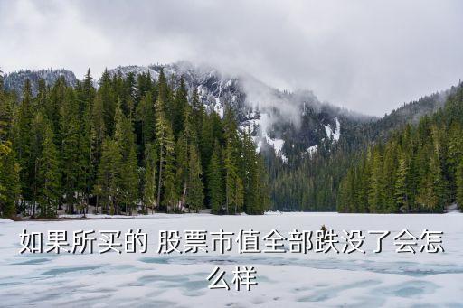 如果所買的 股票市值全部跌沒了會怎么樣