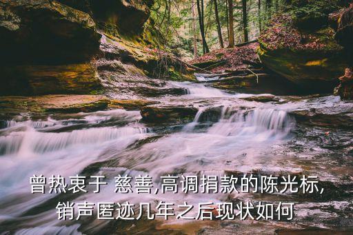 曾熱衷于 慈善,高調捐款的陳光標,銷聲匿跡幾年之后現狀如何