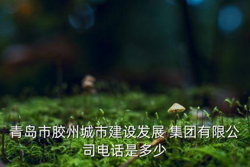青島市膠州城市建設(shè)發(fā)展 集團(tuán)有限公司電話(huà)是多少
