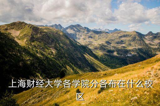 上海財(cái)大研究生在哪兒,考上海財(cái)大研究生有多難