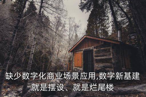 缺少數(shù)字化商業(yè)場(chǎng)景應(yīng)用,數(shù)字新基建就是擺設(shè)、就是爛尾樓
