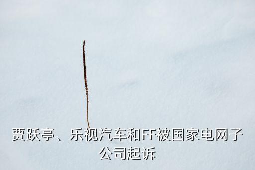 賈躍亭、樂(lè)視汽車(chē)和FF被國(guó)家電網(wǎng)子公司起訴