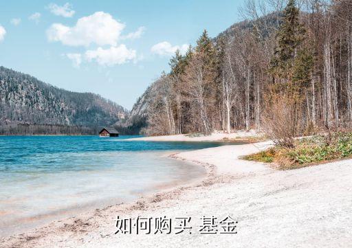 如何購(gòu)買(mǎi) 基金