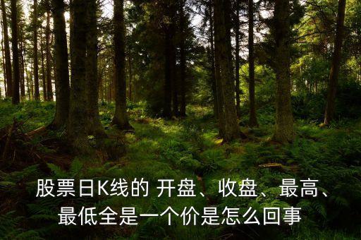  股票日K線的 開盤、收盤、最高、最低全是一個(gè)價(jià)是怎么回事