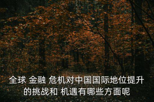 全球 金融 危機對中國國際地位提升的挑戰(zhàn)和 機遇有哪些方面呢