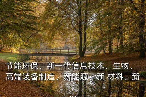 節(jié)能環(huán)保、新一代信息技術、生物、 高端裝備制造、新能源、新 材料、新...