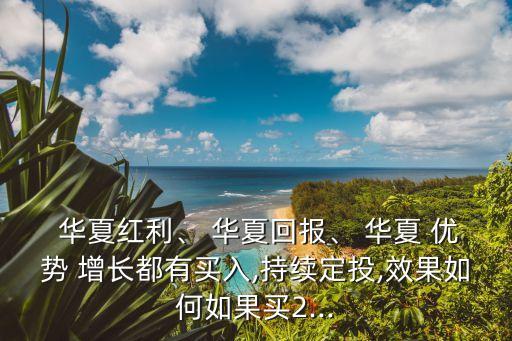  華夏紅利、 華夏回報、 華夏 優(yōu)勢 增長都有買入,持續(xù)定投,效果如何如果買2...