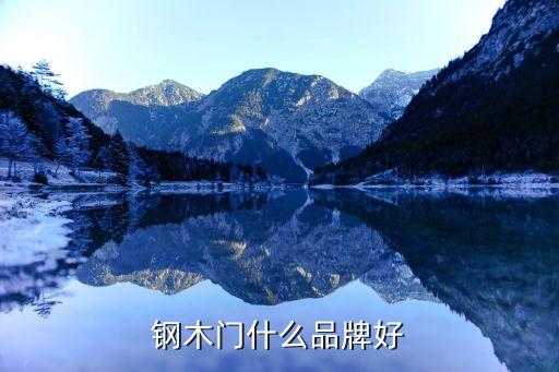 鋼木門(mén)什么品牌好