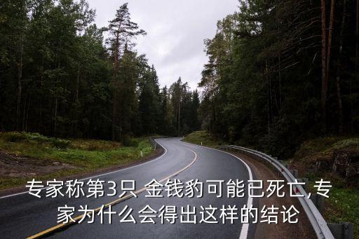 專(zhuān)家稱(chēng)第3只 金錢(qián)豹可能已死亡,專(zhuān)家為什么會(huì)得出這樣的結(jié)論