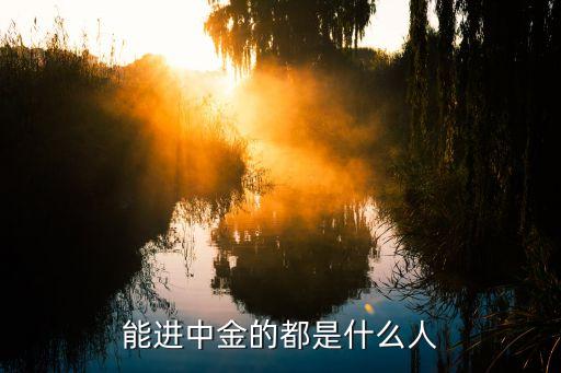能進(jìn)中金的都是什么人