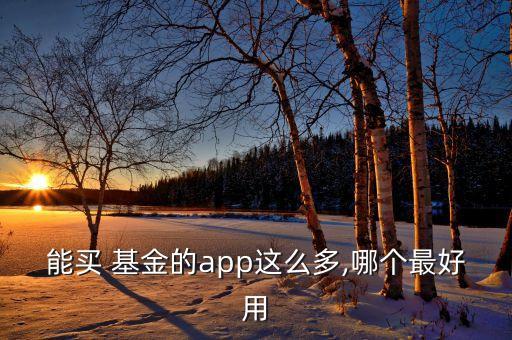 互聯網基金對比,招商互聯網基金
