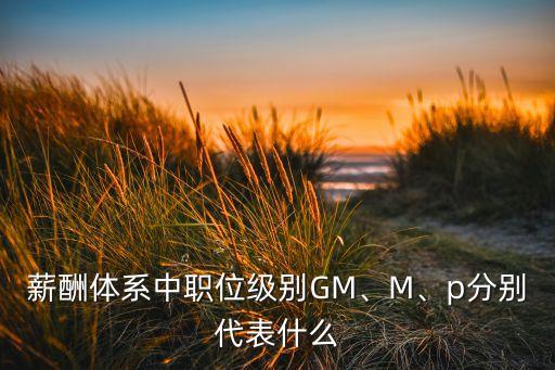 薪酬體系中職位級(jí)別GM、M、p分別代表什么