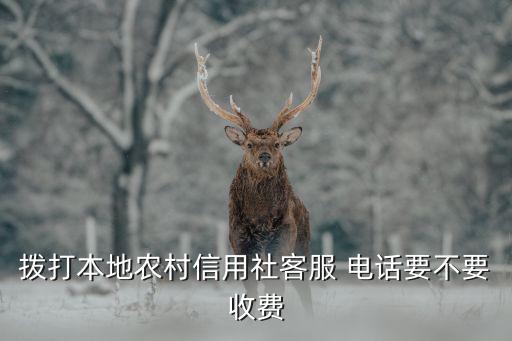 撥打本地農(nóng)村信用社客服 電話(huà)要不要收費(fèi)